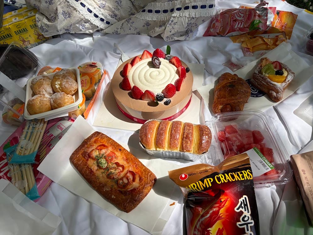 Picnic at Boston Common